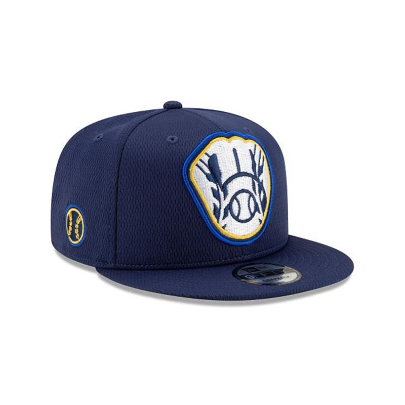 MLB Milwaukee Brewers Batting Practice 9Fifty Snapback (BFL4460) - Blue New Era Caps